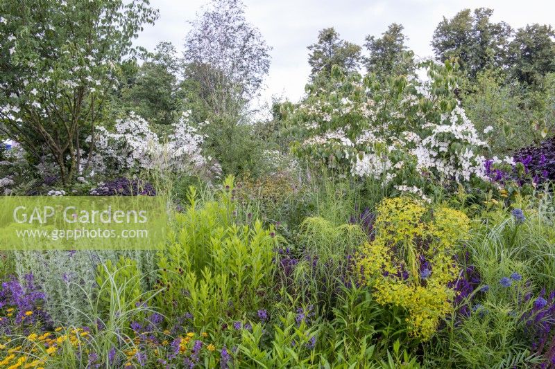 RHS Garden pour un avenir vert, RHS Hampton Court Palace Garden Festival 2021