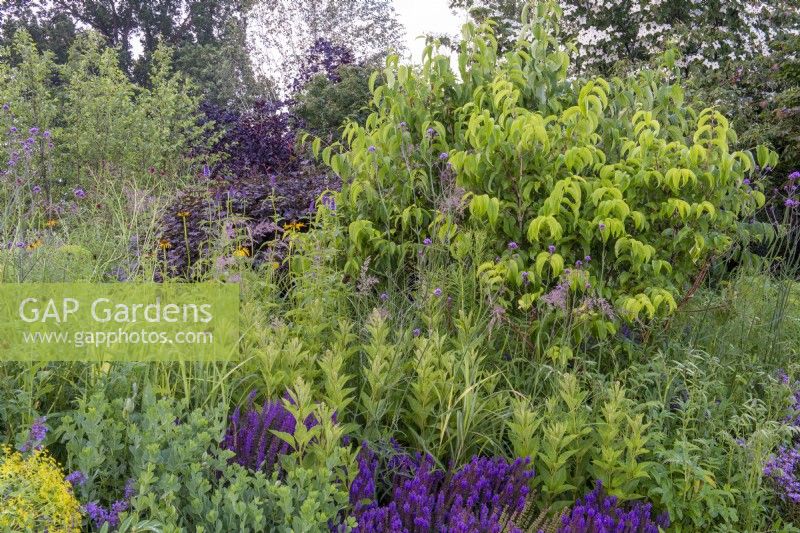 RHS Garden pour un avenir vert, RHS Hampton Court Palace Garden Festival 2021