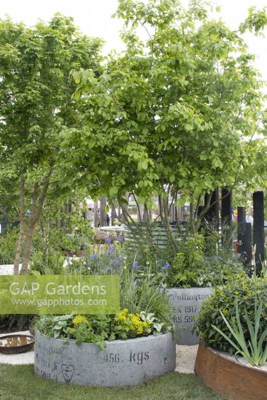 Pot Gardening in 'The Vitamin G' Feature Garden at RHS Malvern Spring Festival 2022 - Designer Alan Williams