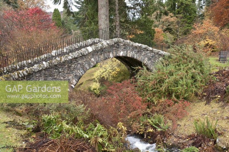 La couleur d'automne entourant le pont suisse et gratter brûler au jardin botanique de Dawyck, Peebleshire, Ecosse