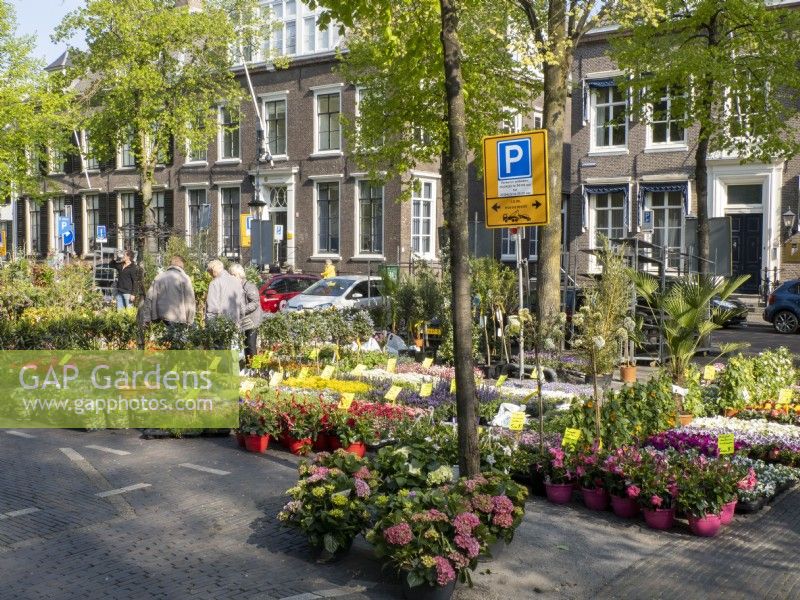 Marché aux fleurs d'Utrecht - Le Bloemenmarkt d'Utrecht, Pays-Bas
