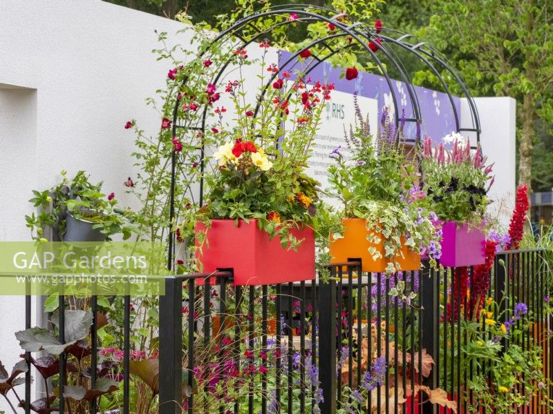 Le Cirrus Garden montrant des jardinières lumineuses et vibrantes et une arche de rose - RHS Balcony Garden 2022