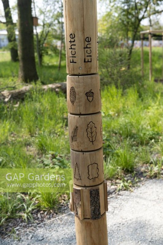 Torgau, Sachsen, Allemagne LAGA Landesgartenschau Torgau 2022 State garden show.Childrens education play zone. Pôle interactif pour identifier les différentes caractéristiques des arbres, les feuilles, la forme, l'écorce et les graines.