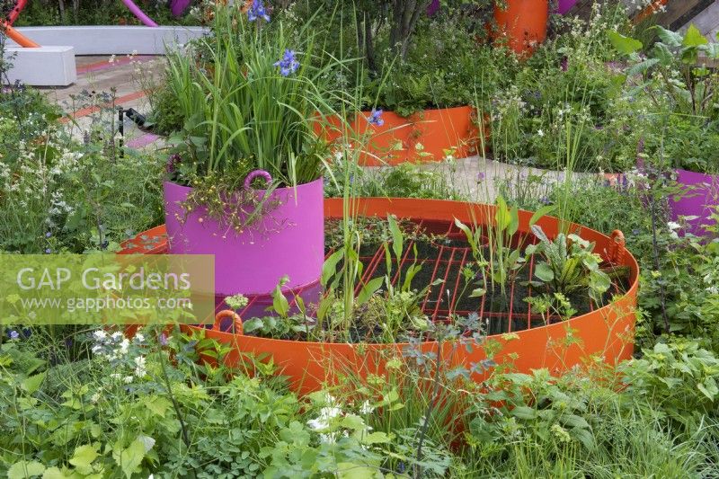 Dans une conception pour un parc urbain miniature, une jardinière ronde géante crée une pièce d'eau, un bac d'iris de Sibérie ajoutant de la hauteur.