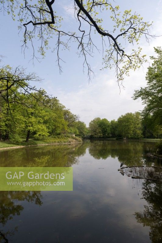 Dresde Saxe AllemagneGrosser Garten park Neuer Teich lake.