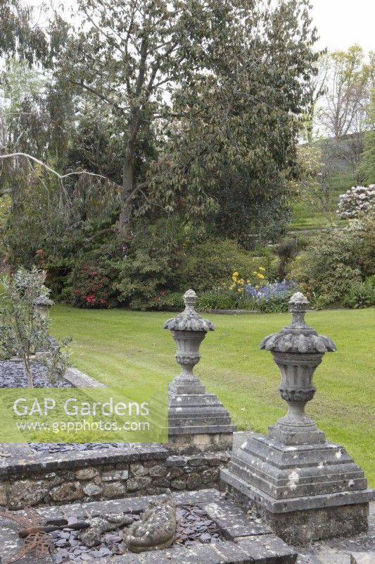Un large mur de soutènement avec des embouts en pierre formels mène à une pelouse avec divers arbres et arbustes en arrière-plan. Ferme de Whitstone, jardin NGS Devon. Le printemps.