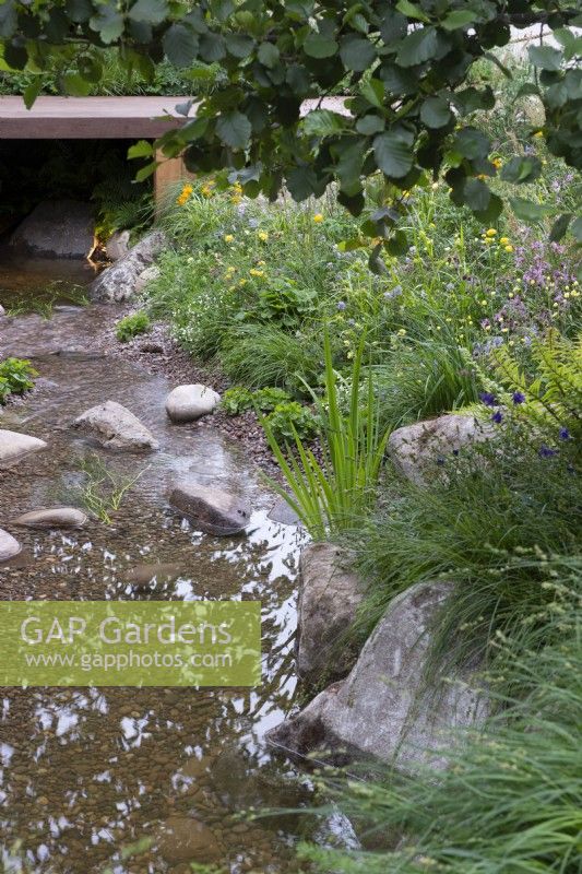 Ruisseau avec plantation naturelle et rochers en pierre - Le Meta Garden, RHS Chelsea Flower Show 2022 - Médaille d'or