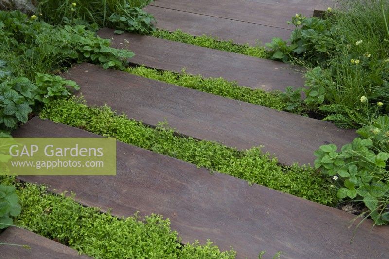 Chamaemelum nobile planté entre les planches de terrasse en bois - Le Meta Garden, RHS Chelsea Flower Show 2022 - Médaille d'or