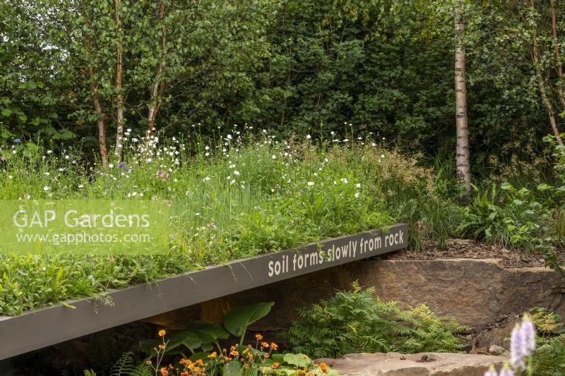 Toit de fleurs sauvages - Le nouveau jardin Blue Peter - Découvrez le sol, RHS Chelsea Flower Show 2022