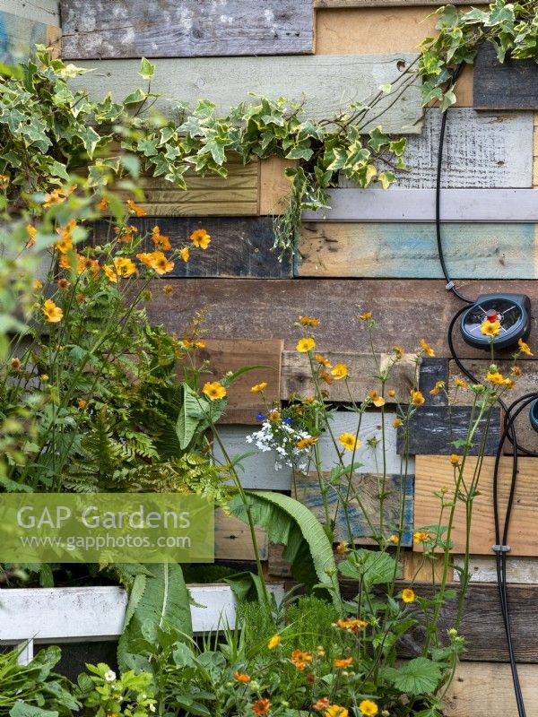 Repensez le jardin avec des articles réutilisés tels que des canettes et du bois avec des verts et des oranges vibrants dans la plantation