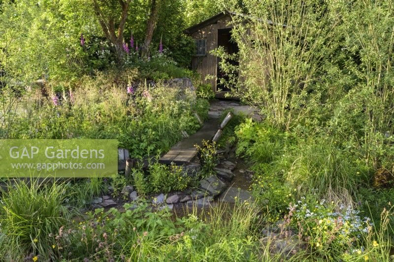 Prairie de zones humides naturelles avec promenade en bois et plantes indigènes, y compris Digitalis et Salix - Un paysage de Grande-Bretagne rewilding