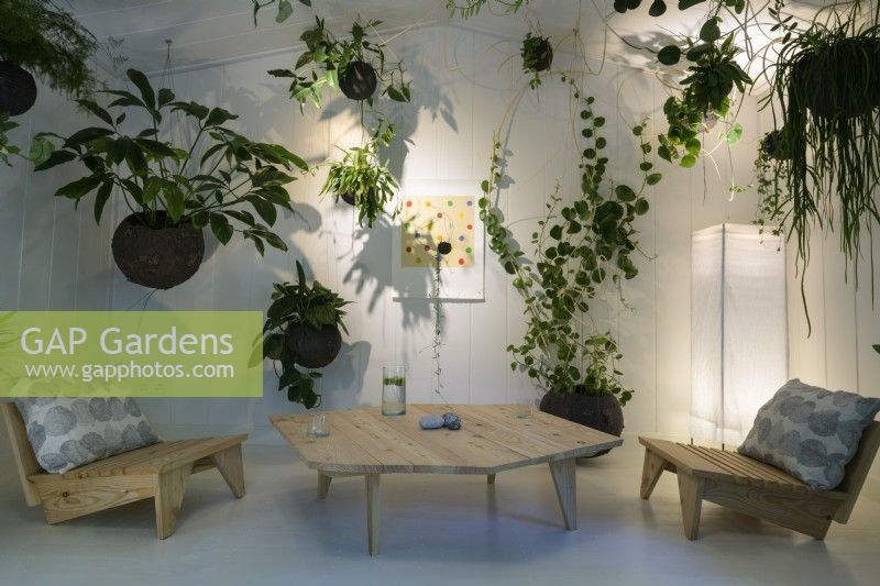 Jardin intérieur aérien dans une salle blanche avec table et chaise en bois moderne rectangulaire - A Room To Dance Studio