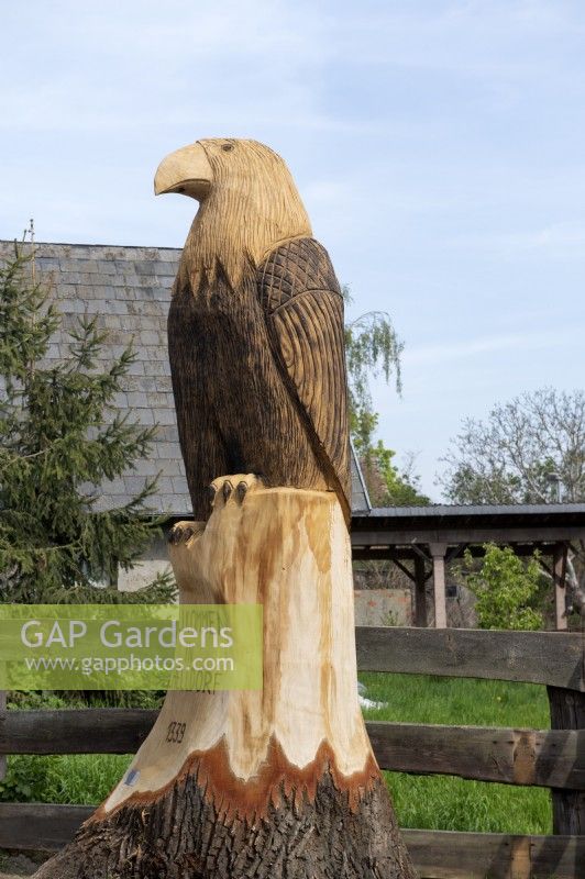 Schelldorf Saxe Anhalt Allemagne. Souche d'arbre transformée en une impressionnante sculpture en bois représentant un oiseau de proie.