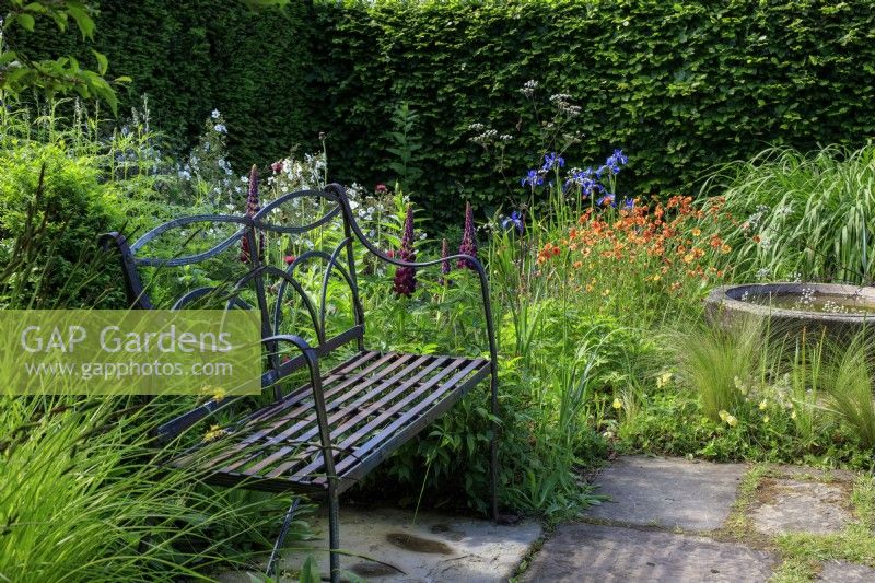 Alice's Garden à Wollerton Old Hall Garden avec Iris siberica, Lupinus 'Masterpiece' et Geum coccineum.
