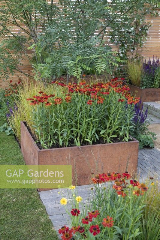 Jardinières en acier Corten pleines de plantes vivaces colorées dans le jardin de la pause déjeuner au RHS Hampton Court Palace Garden Festival 2022