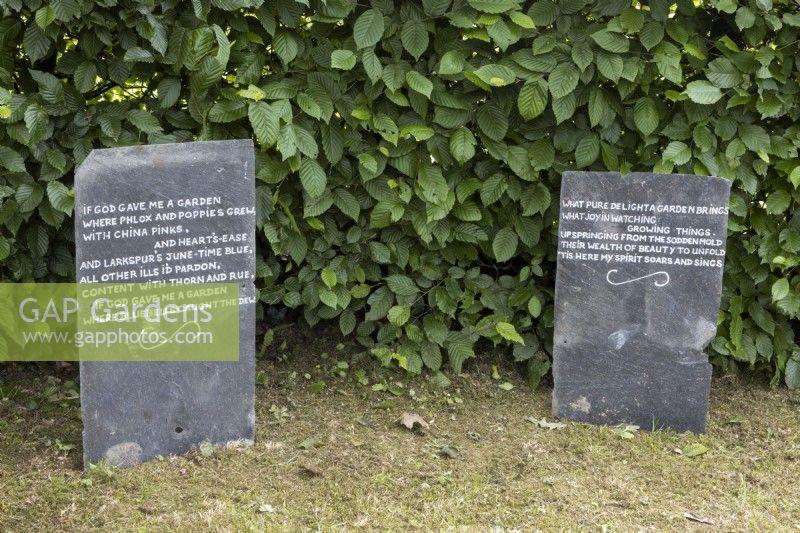 Une ardoise recyclée porte une citation sur le jardinage et est affichée à côté d'une haie de hêtres. Chalet, jardin NGS Devon. Le printemps.