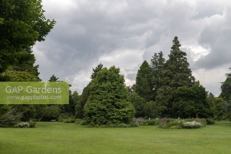 Vue générale Arboretum Kalmthout, Provincie Antwerpen, Belgique.
