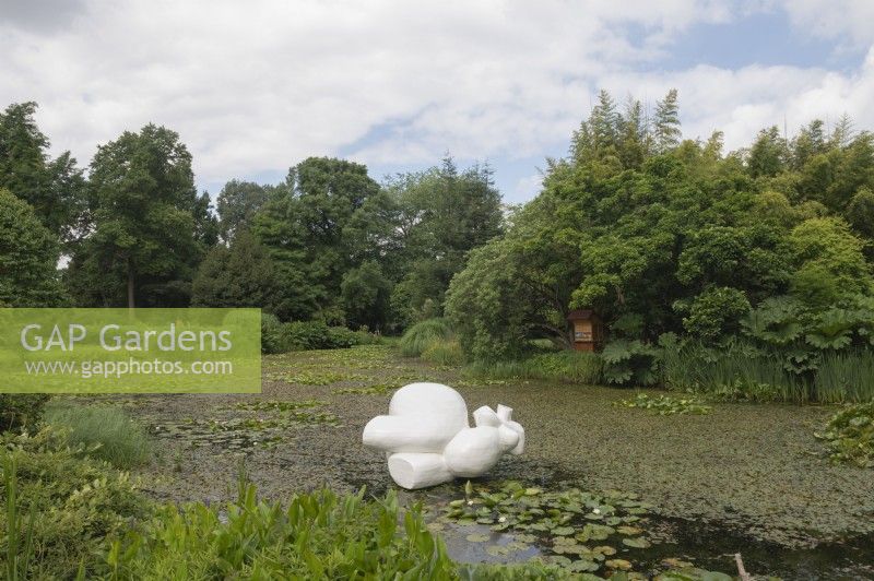 Vue générale Arboretum Kalmthout, Provincie Antwerpen, Belgique. Vue sur étang avec sculpture.