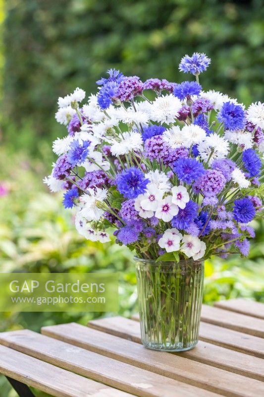 Bouquet contenant Centaurea 'Double Blue', Centaurea 'Ball White' - Bleuets, Phlox drummondii 'Tapestry', Ageratum 'Blue Mink' et Verbena bonariensis