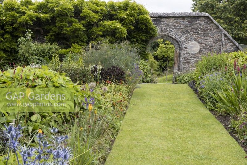 Un large chemin de pelouse mène entre des plates-bandes plantées de vivaces et d'arbustes de style cottage garden. Le chemin mène à un vieux mur de pierre avec porte voûtée. La maison du jardin, Yelverton, Devon. Été.
