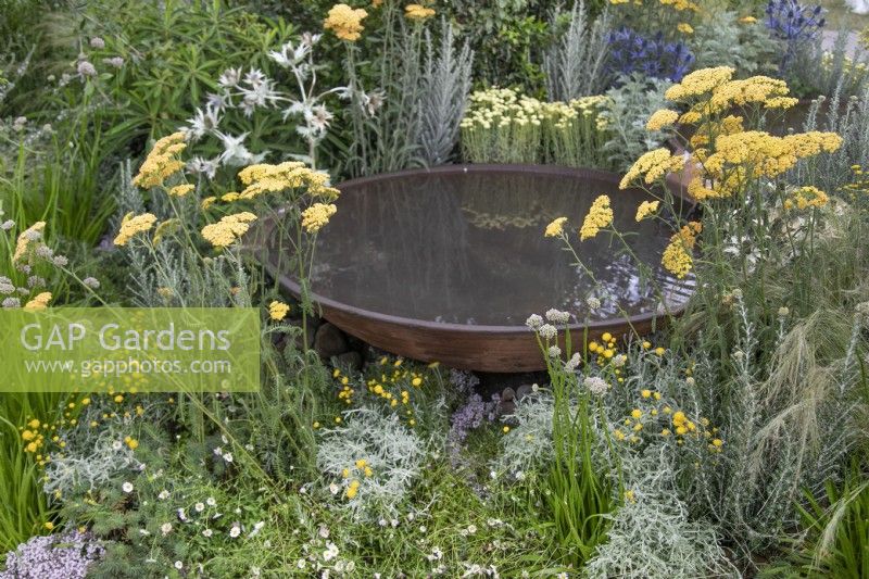 Achillea et plantes vivaces mixtes entourent une pièce d'eau en acier corten dans le RHS Planet-Friendly Garden au RHS Hampton Court Palace Garden Festival 2022
