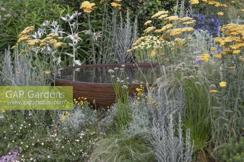 Achillea et plantes vivaces mixtes entourent une pièce d'eau en acier corten dans le RHS Planet-Friendly Garden au RHS Hampton Court Palace Garden Festival 2022