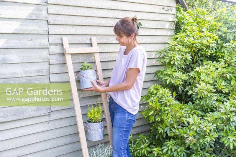 Femme plaçant des plantes sur le cadre en bois