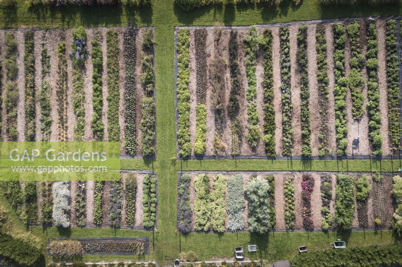 Vue aérienne d'une ferme florale en juillet