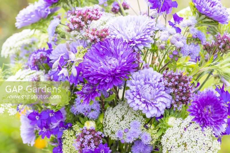 Bouquet contenant Ammi visnaga, Verbena bonariensis, Callistephus 'Light Blue' et 'Dark Blue', Ageratum 'Blue Mink' et Consolida ajacis 'Blue Spire'