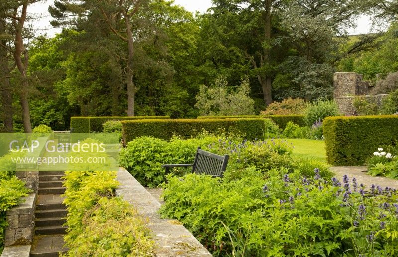 Un banc en bois entouré de plantes et de haie d'ifs sur une terrasse à Parcevall Hall Gardens en juin
