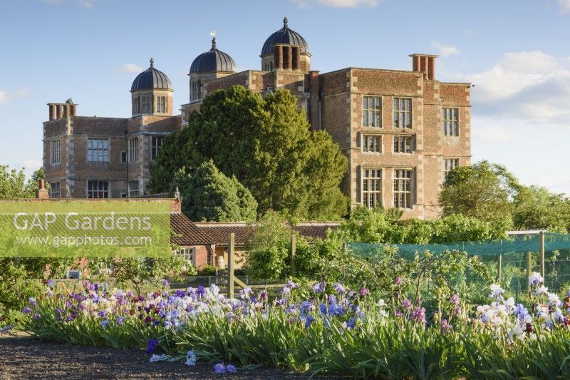 Doddington Hall s'élevant au-dessus du jardin clos où une collection d'iris Dodsworth sont en pleine floraison en mai