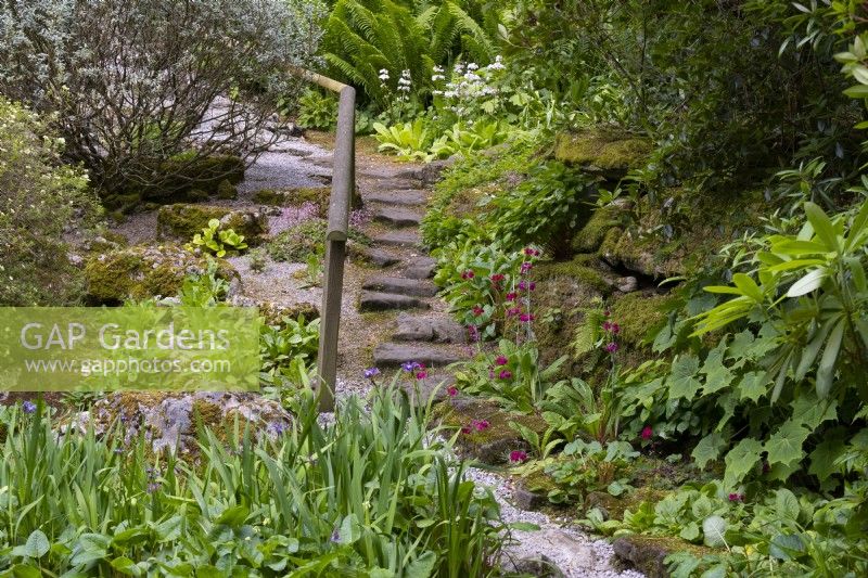 Des marches en pierre et une balustrade en bois le long d'un chemin dans le jardin de rocaille à Parcevall Hall.