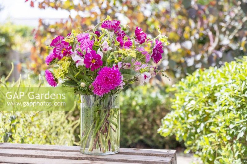 Bouquet contenant Callistephus 'Coral Rose', Cosmos 'Double Click Cranberries', Nicotiana langsorfii, Zinnia elegans 'Envy' et Antirrhinum 'Lucky Lips'