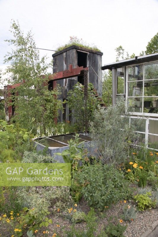 Hangar surélevé et serre dans la nature verdoyante du jardin de Frances au BBC Gardeners World Live 2022