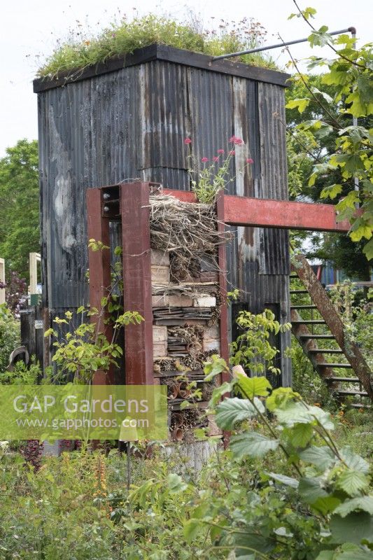 Hangar surélevé en tôle ondulée avec un toit vivant dans le jardin de Frances à BBC Gardeners World Live 2022