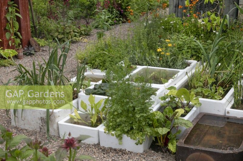 Éviers en pierre récupérés comme jardinières et éléments aquatiques dans le jardin de Frances à BBC Gardeners World Live 2022