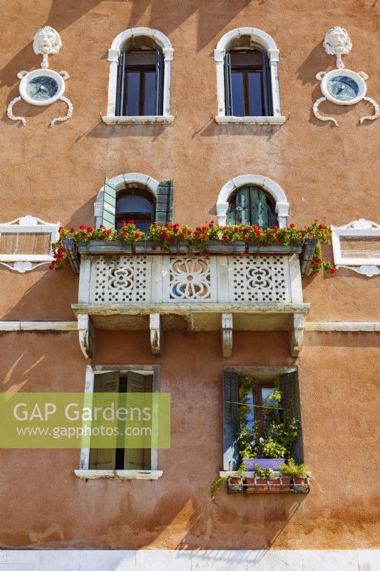 Balcon en pierre ornementale altérée avec des jardinières de pélargoniums rouges devant des fenêtres à volets verts et un mur en stuc marron.