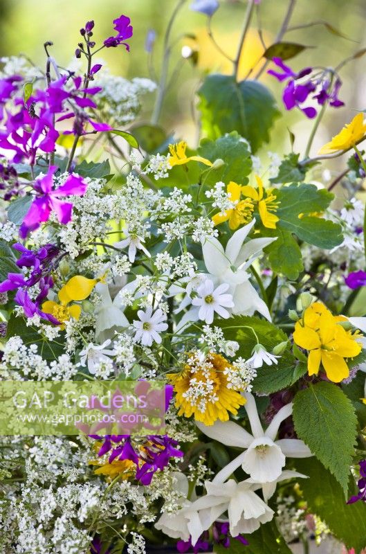 Bouquet de fleurs contenant des jonquilles et des fleurs sauvages telles que le persil des vaches, la grande stellaire et l'honnêteté.