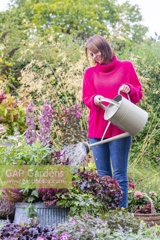 Femme arrosant un grand pot planté de Delphinium 'Highlander Flamenco', Salvia 'Rockin Fuchsia', Erica gracillis, Heuchera 'Chocolate Ruffles', Stipa arundinacea et Ivy hedera