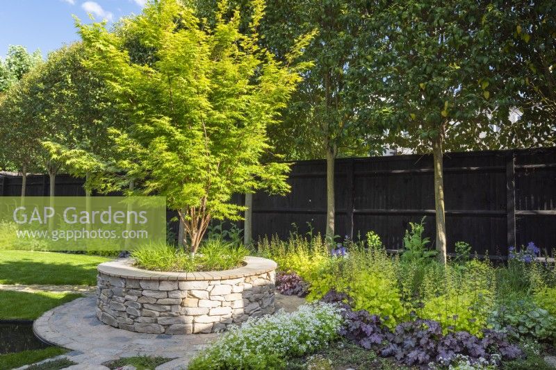 Vue sur un parterre de fleurs avec des plantes couvre-sol d'Acer palmatum 'Sango-kaku' dans un lit surélevé circulaire'