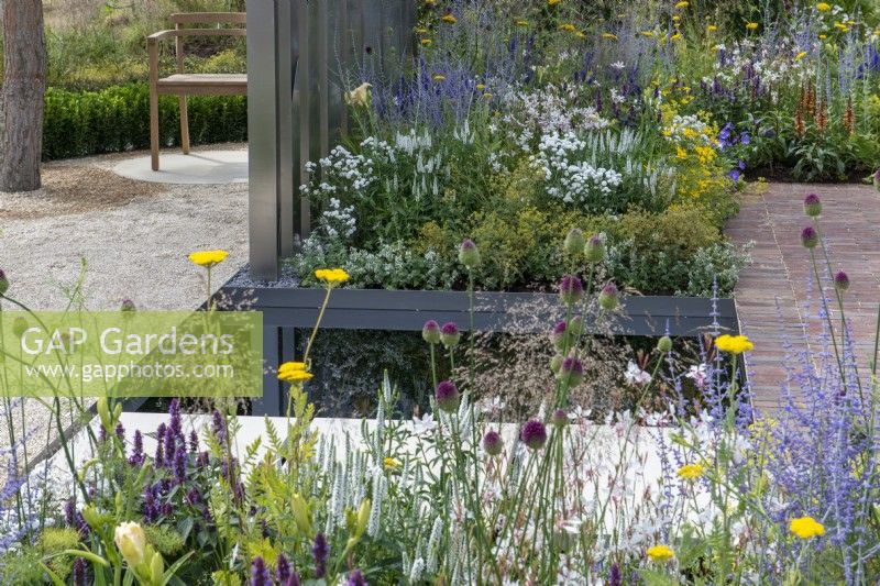 Une piscine en contrebas est bordée de plates-bandes de plantes vivaces telles que l'achillea, la cataire, la gaura, l'alchémille, la véronique, la perovskia, l'agastache, le coreopsis et la deschampsia.