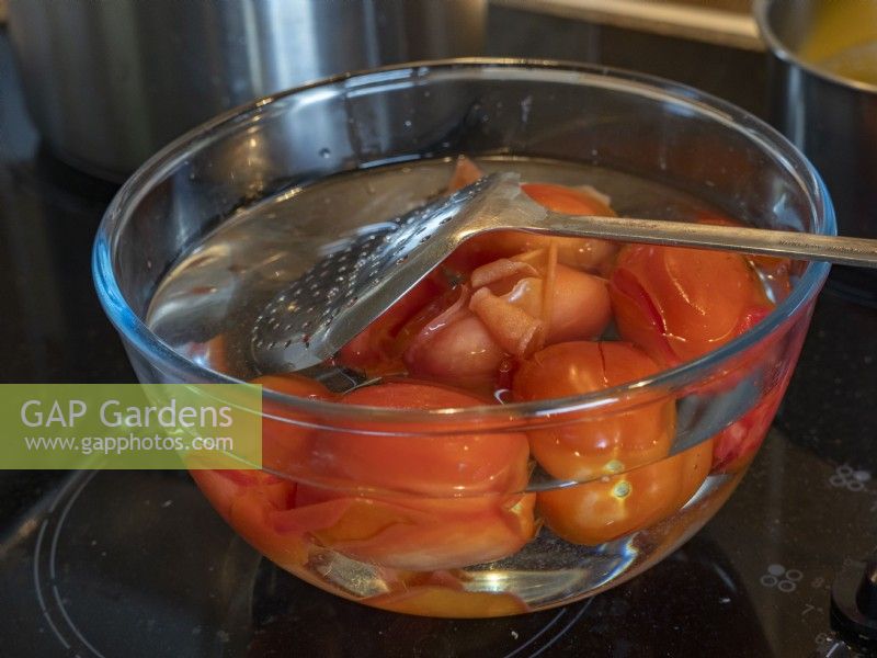 Tomates Roma mûres dans l'eau froide avec des peaux qui s'épluchent
