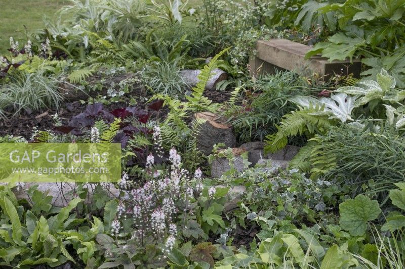 Jungle 365 Beautiful Flowerbed au BBC Gardener's World Live 2022