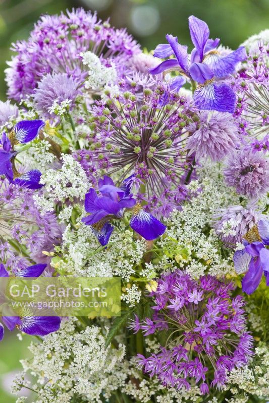 Bouquet de fleurs violet - blanc contenant de l'iris, de l'allium, du persil de vache et de la ciboulette.