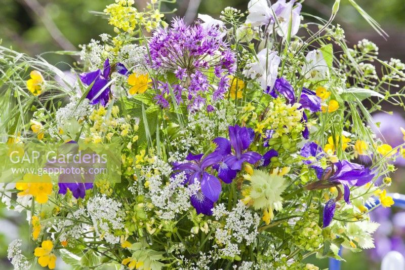 Bouquet de fleurs printanières contenant de l'allium, de l'iris, des vivaces à fleurs sauvages et des graminées.