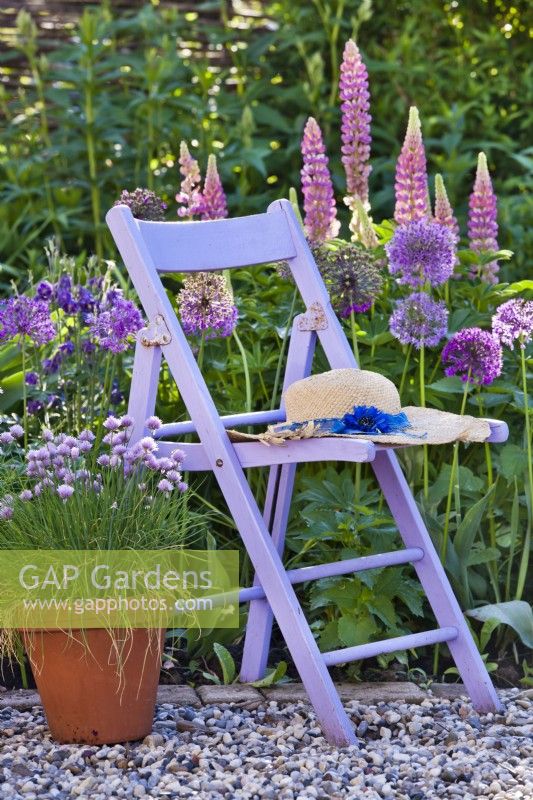 Jardin de printemps à thème violet avec ciboulette, alliums, iris, ancolie et lupins.