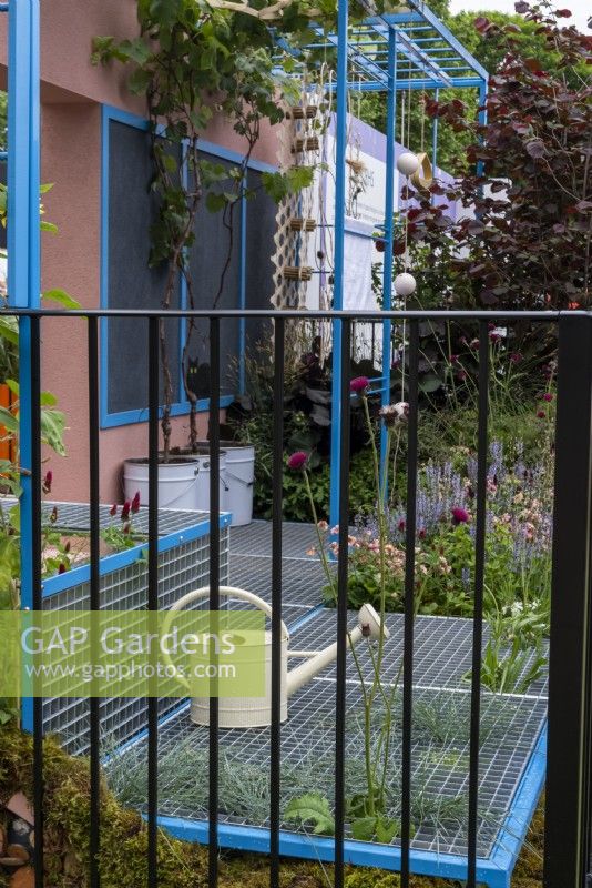 Un jardin de balcon avec une grille métallique créant une plate-forme pour permettre aux plantes, Cirsium rivularis et Festuca amethystina de pousser à travers les carrés, sur le jardin de balcon Jay Day concepteur : Flock Party Studio