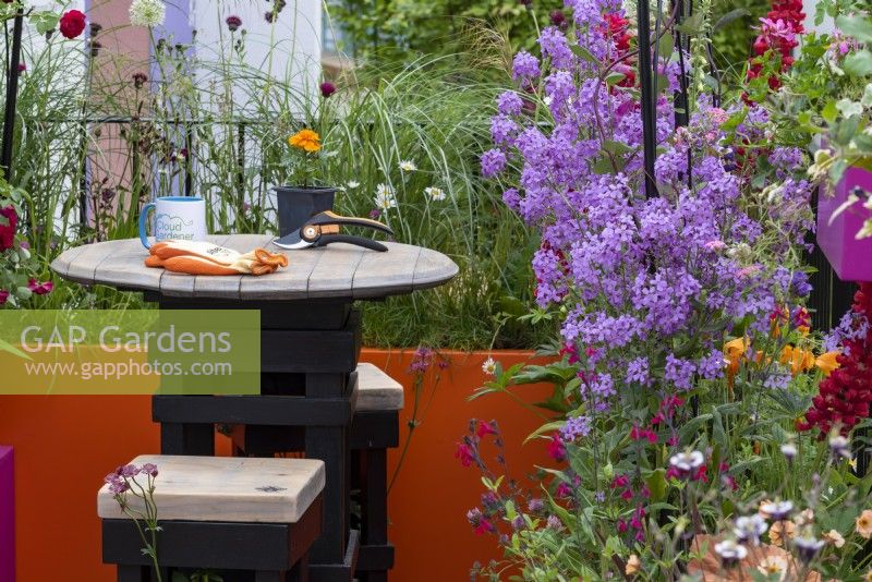 Une table de jardin en bois et deux tabourets entourés d'Hesperis matronalis, de Salvia 'Bordeaux', d'Eschscholzia californica et d'ornements gazonnés sur .Le Cirrus Garden - designer : Jason Williams