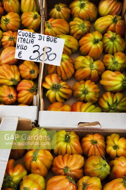 Tomates Beefsteak, également connues sous le nom de tomates cœur de boeuf ou tomates cœur de taureau, marquées comme 'cuore di bue' sur un étal de marché en Italie.