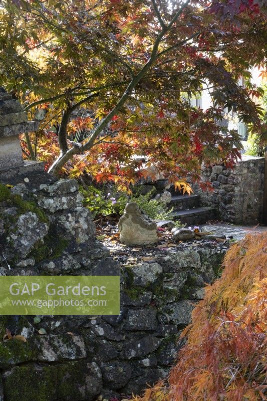 Un mur de soutènement en pierre a une statue de bouddha assise dessus sous un bosquet d'acer. Whitstone Farm, Devon NGS jardin, automne